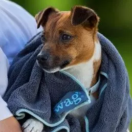 Henry Wag Microfibre Towel